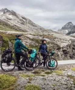 Sacoche Double Ortlieb Back-Roller Free 20L