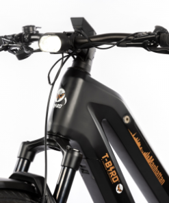 T-Bird Manhattan -VTC électriques Soldes t bird manhattan 4