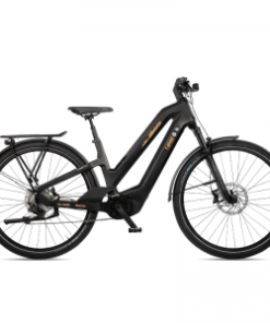 T-Bird Manhattan -VTC électriques Soldes t bird manhattan 5